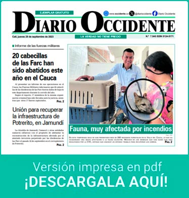 pdf diario